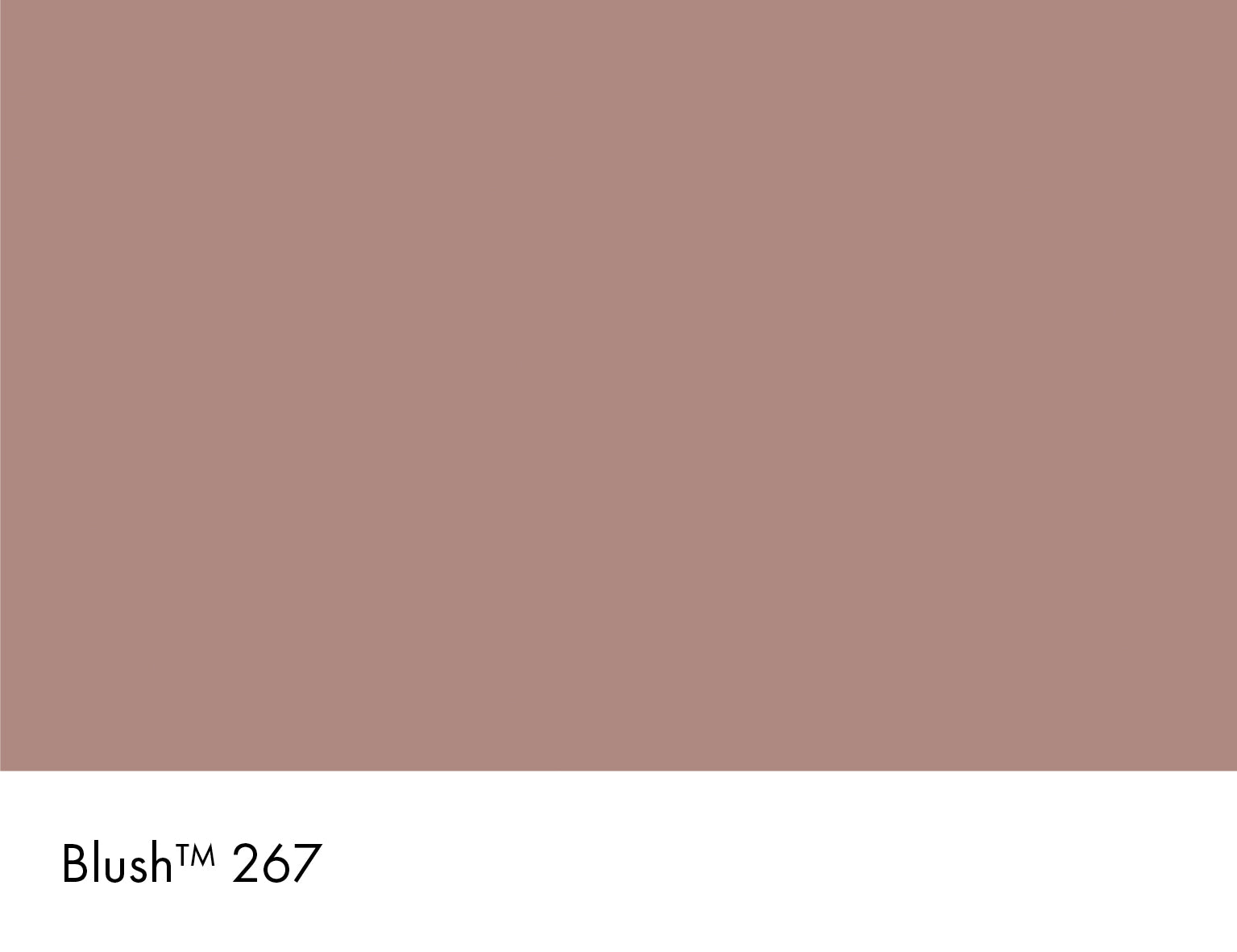 Little Greene Blush 267