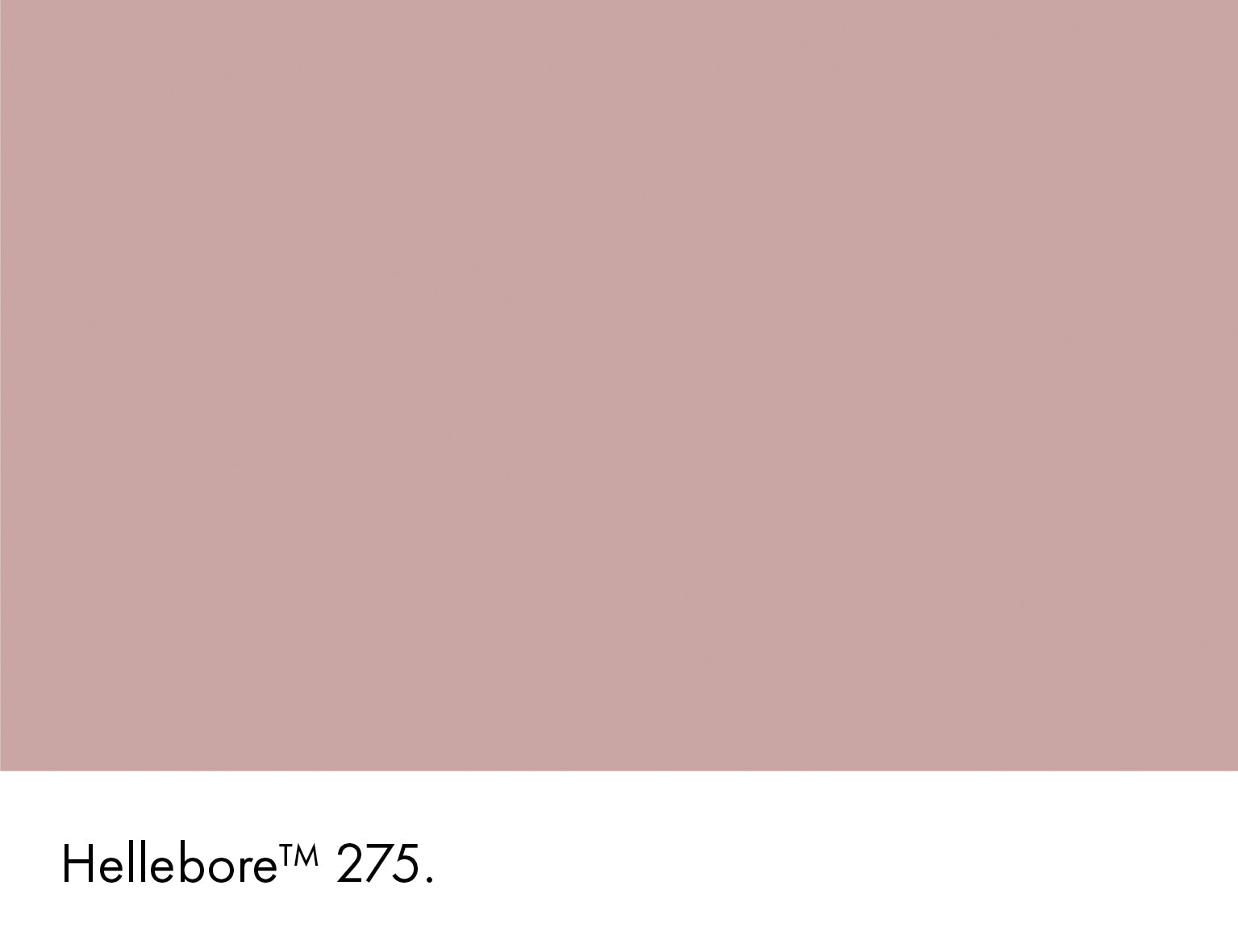 Little Greene Hellebore 275