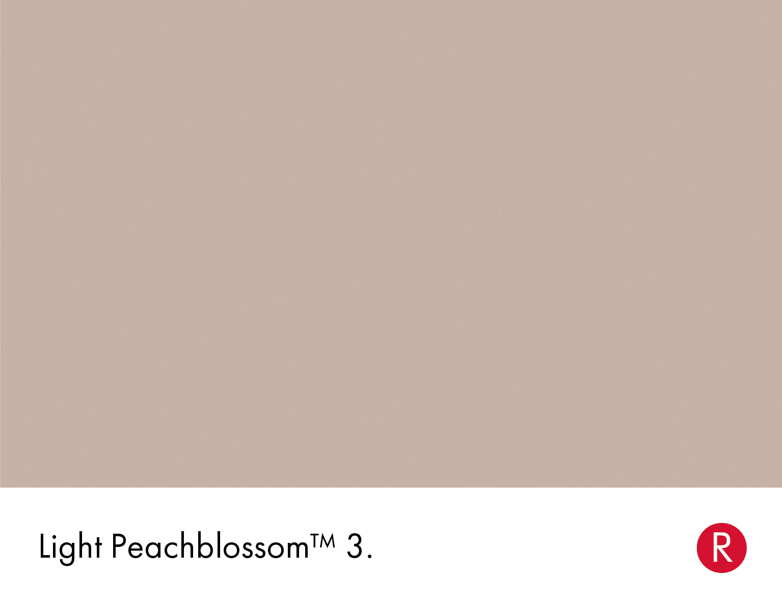 Little Greene Light Peachblossom 3