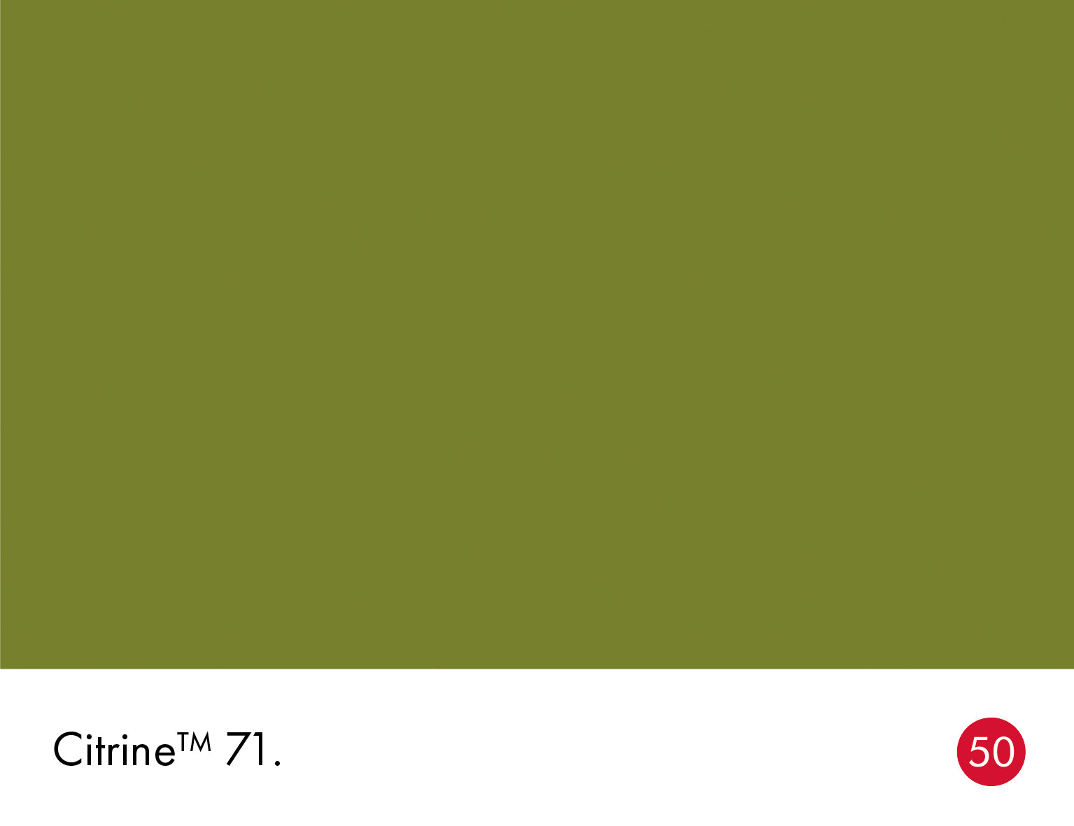 Little Greene Citrine 71