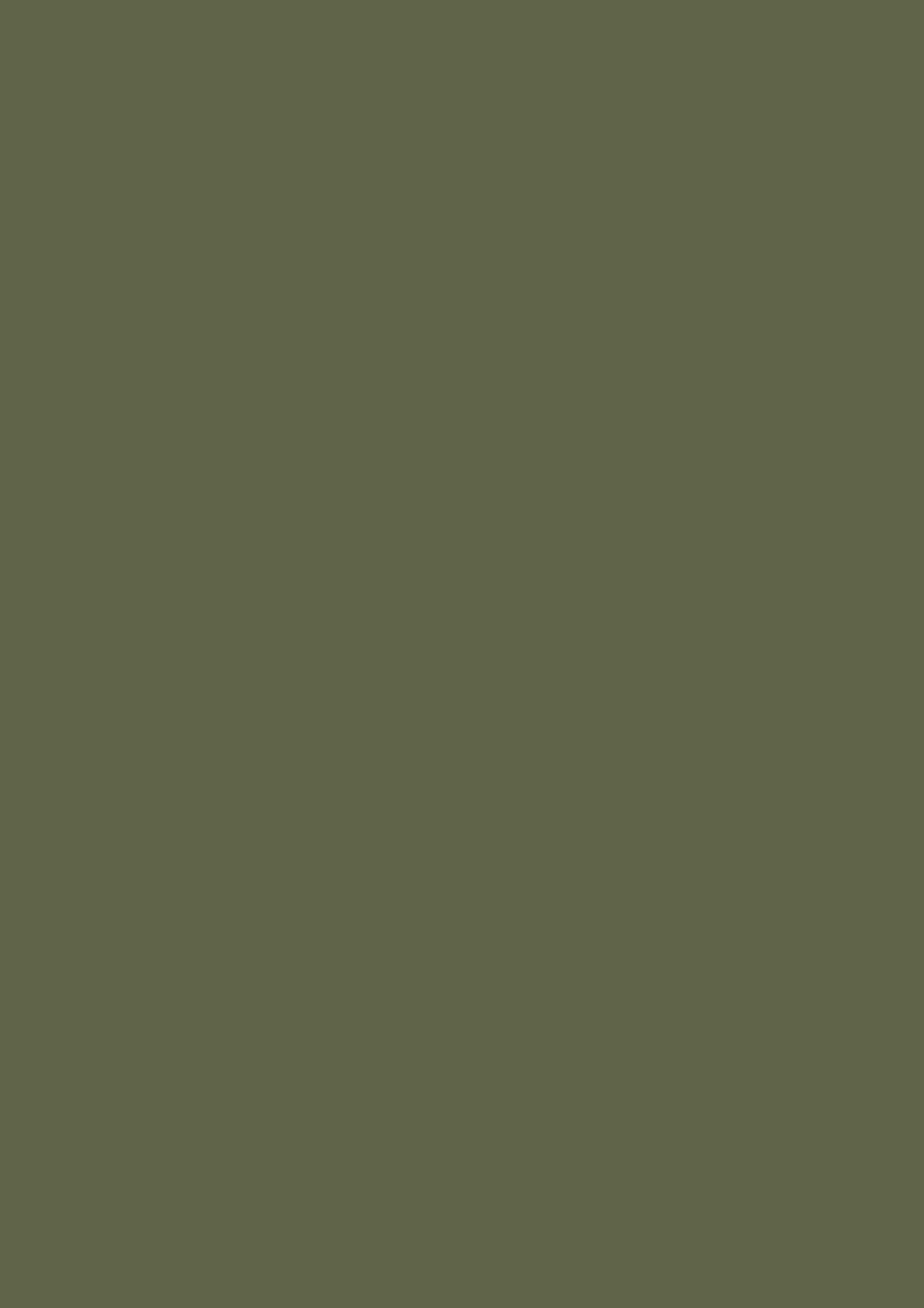 Farrow & Ball Bancha 298