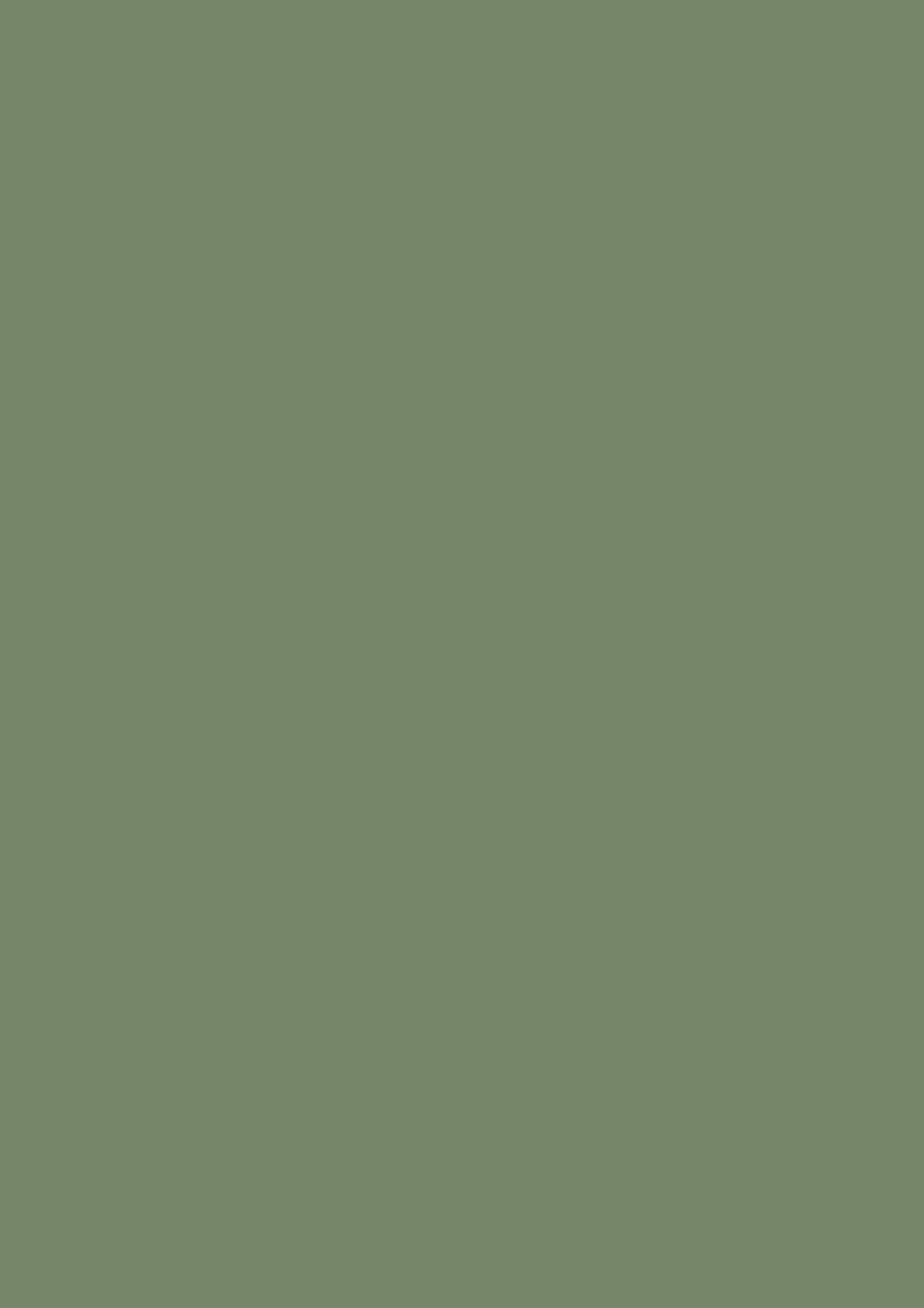Farrow & Ball Calke Green 34