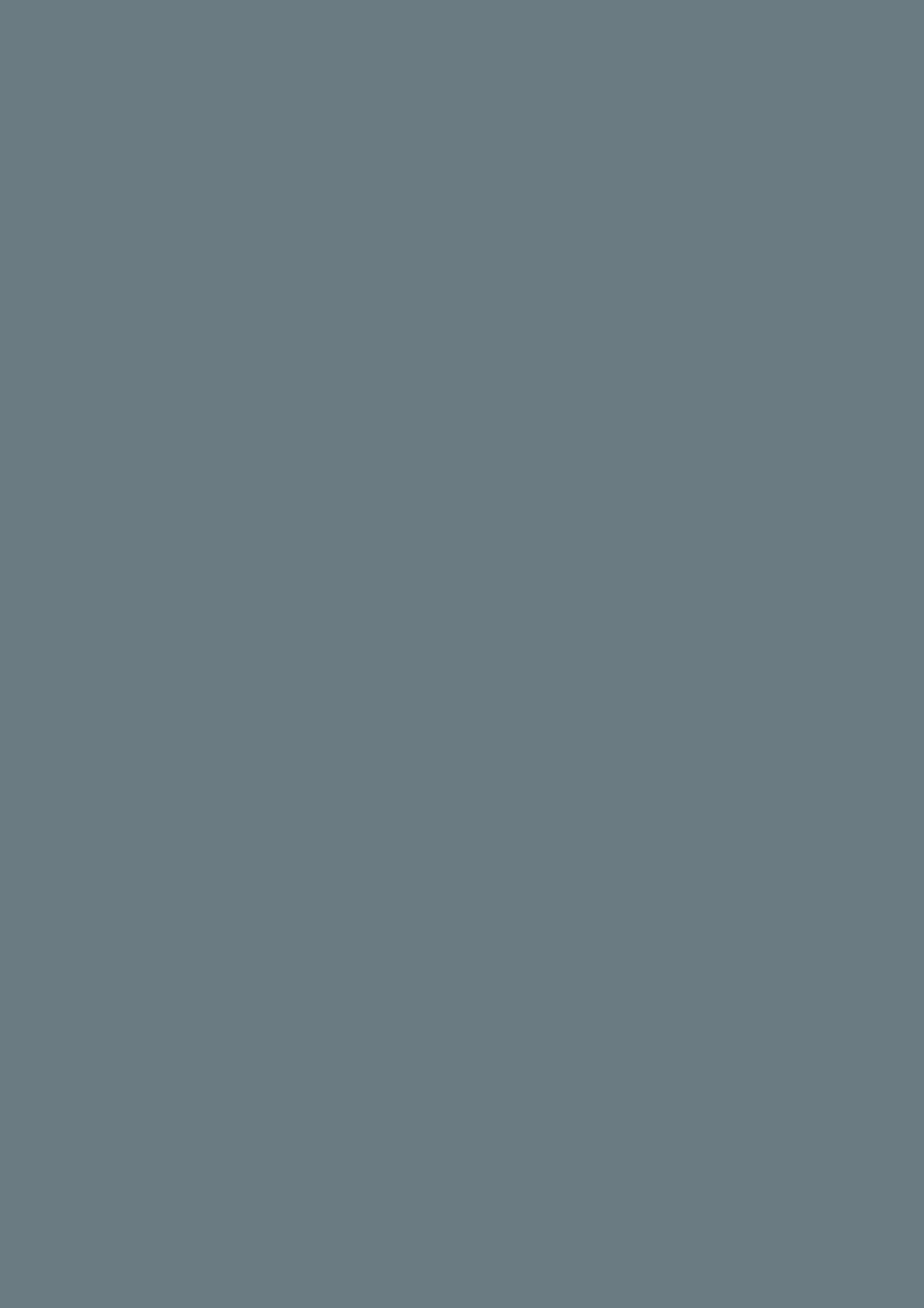 Farrow & Ball De Nimes 299