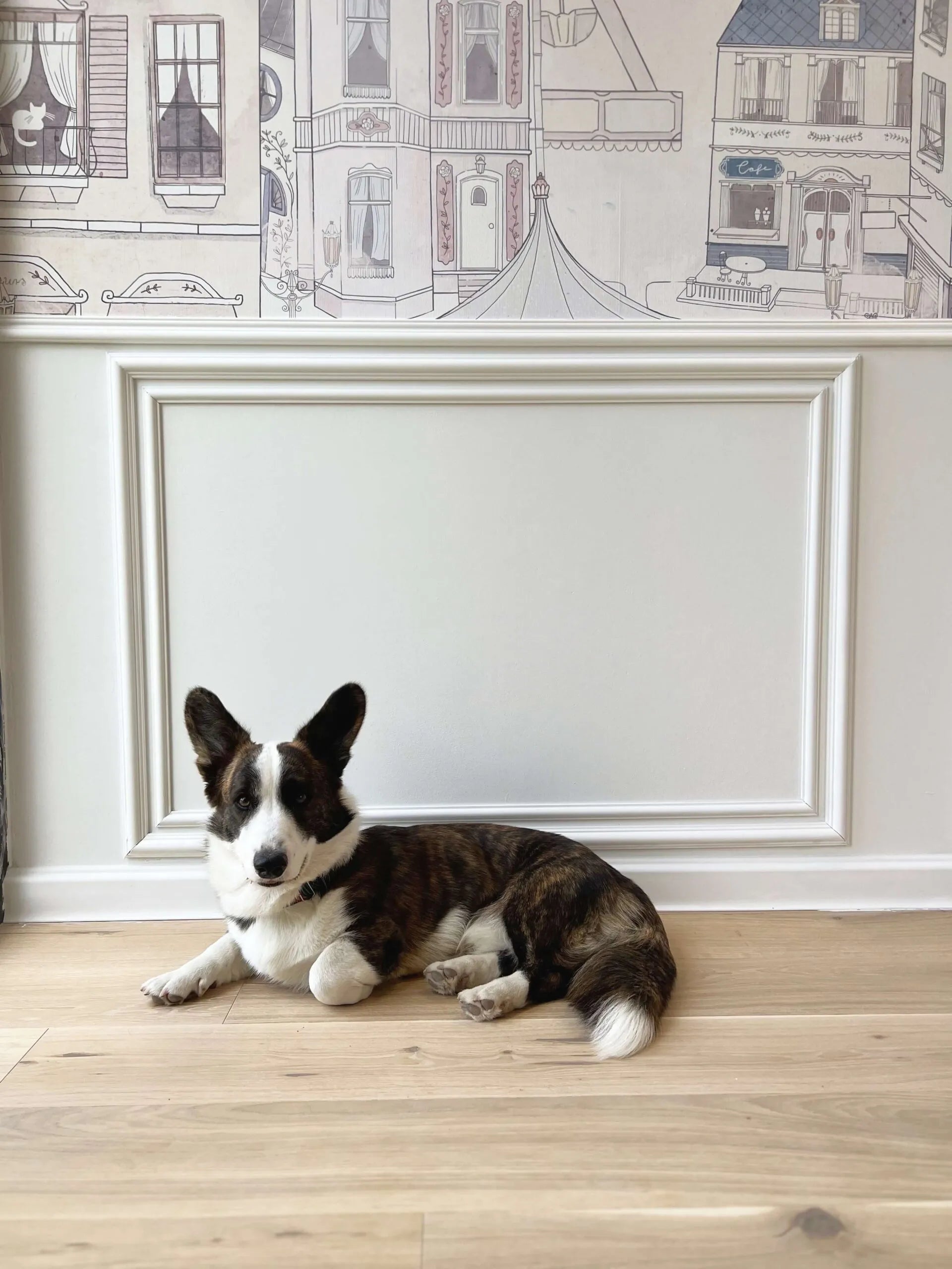 Mardom Decor Panel Moulding MD413