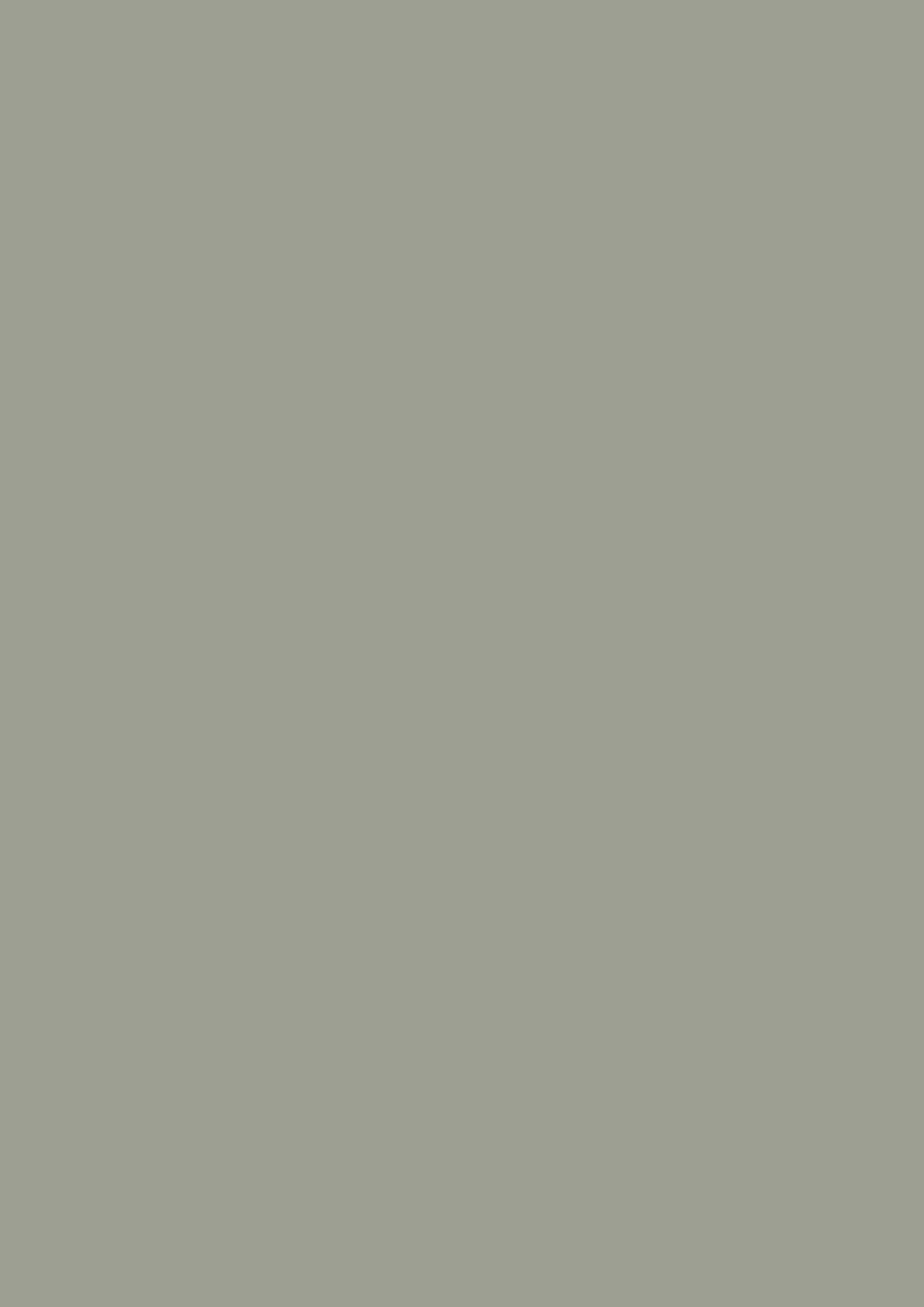 Farrow & Ball Pigeon 25