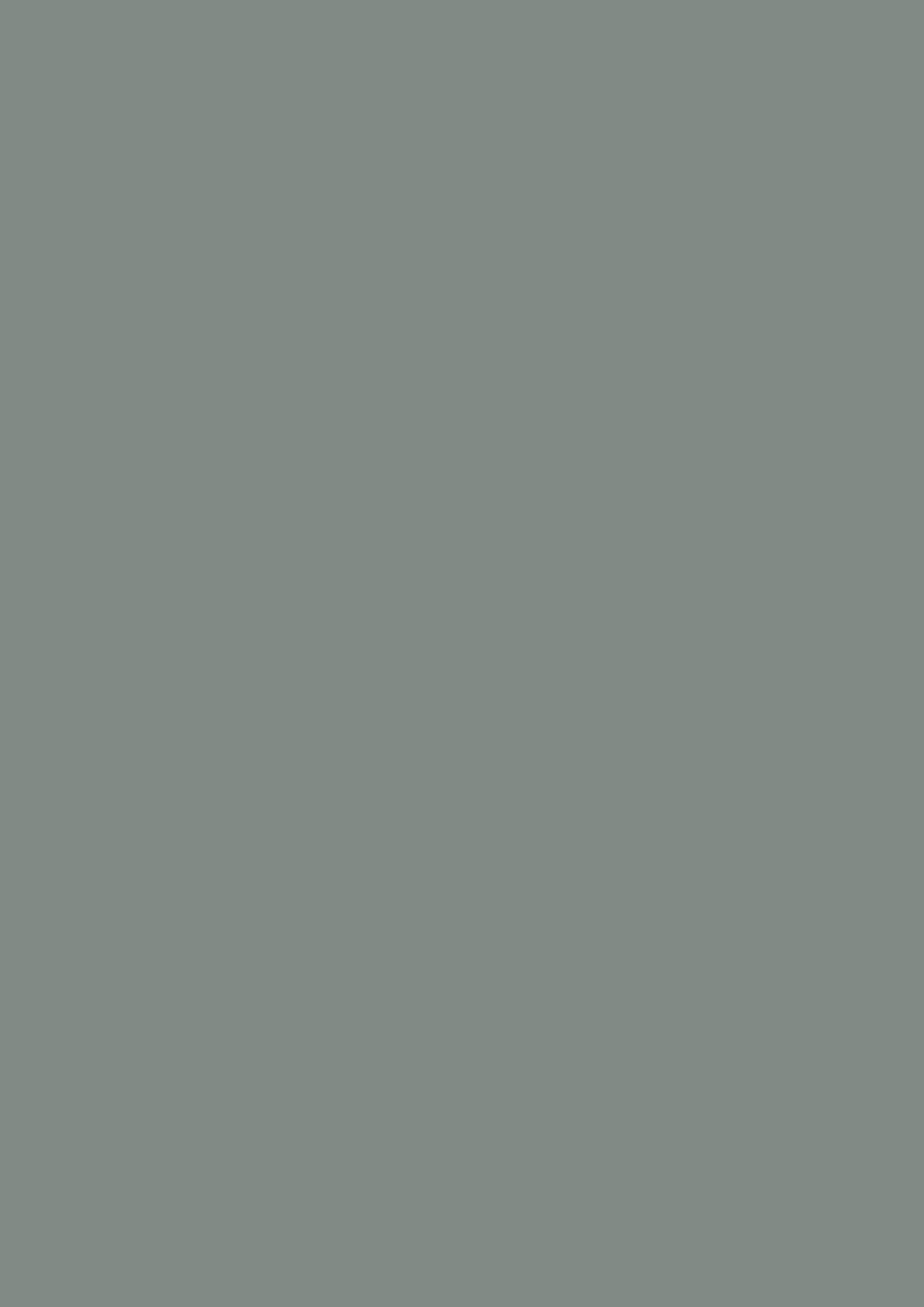 Farrow & Ball Plummett 272