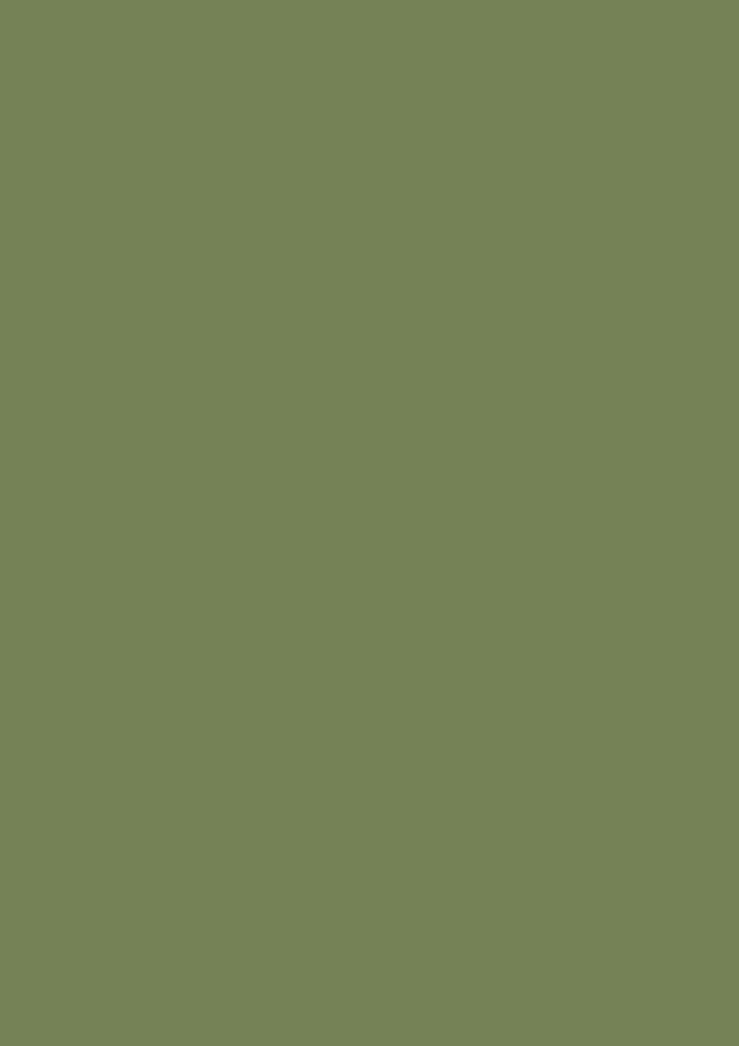 Farrow & Ball Sap Green 199