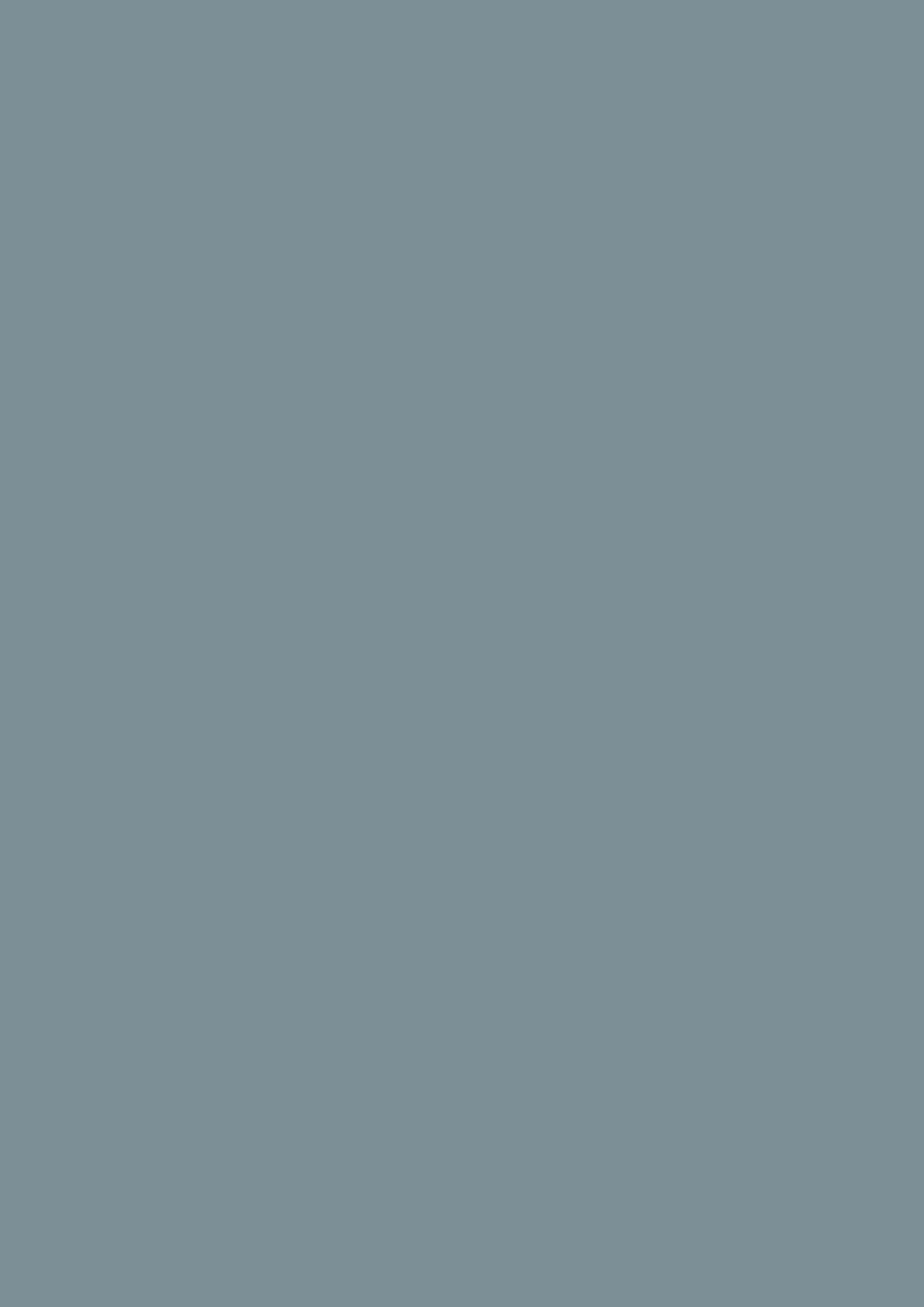 Farrow & Ball Selvedge 306