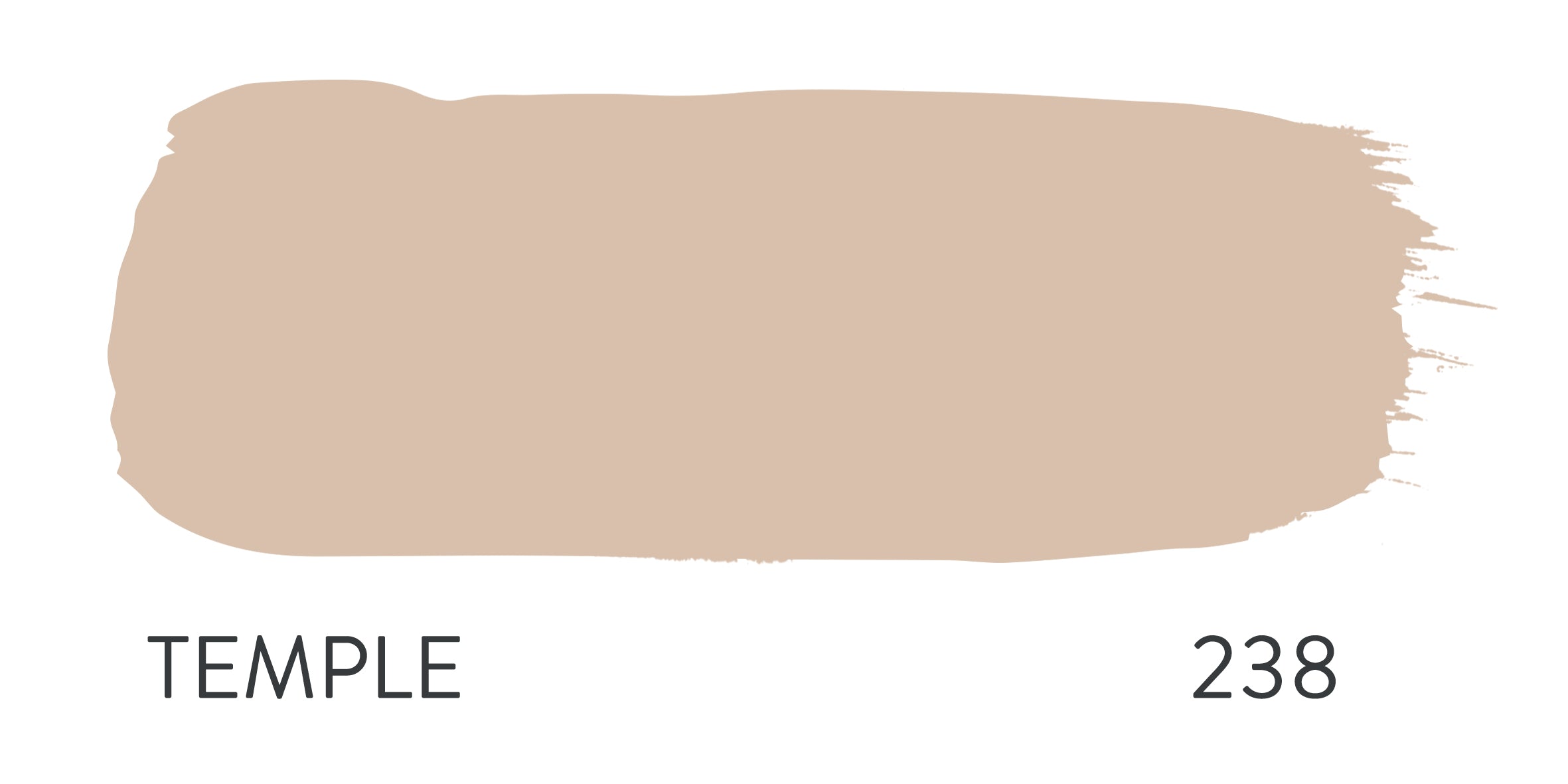 Paint & Paper Library Temple 238