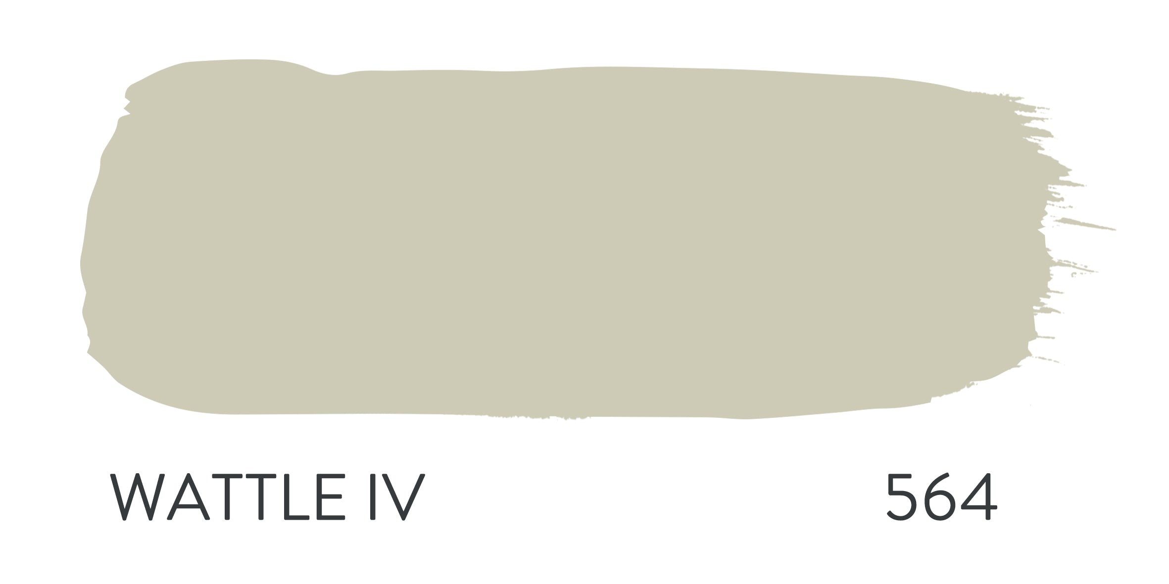 Paint & Paper Library Wattle IV 564