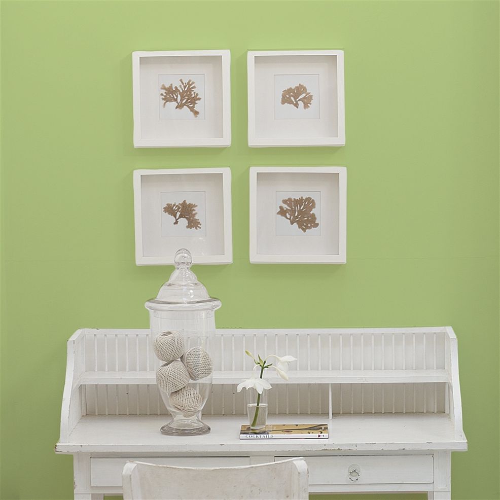 Designers Guild Mimosa Leaf No.101