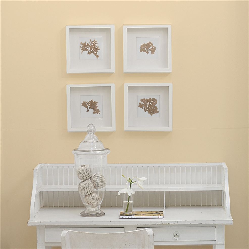 Designers Guild Panettone No.114