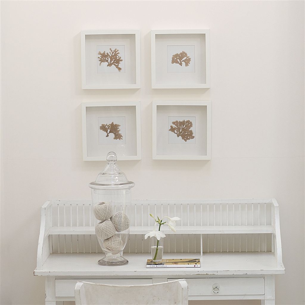 Designers Guild Stucco White No.5