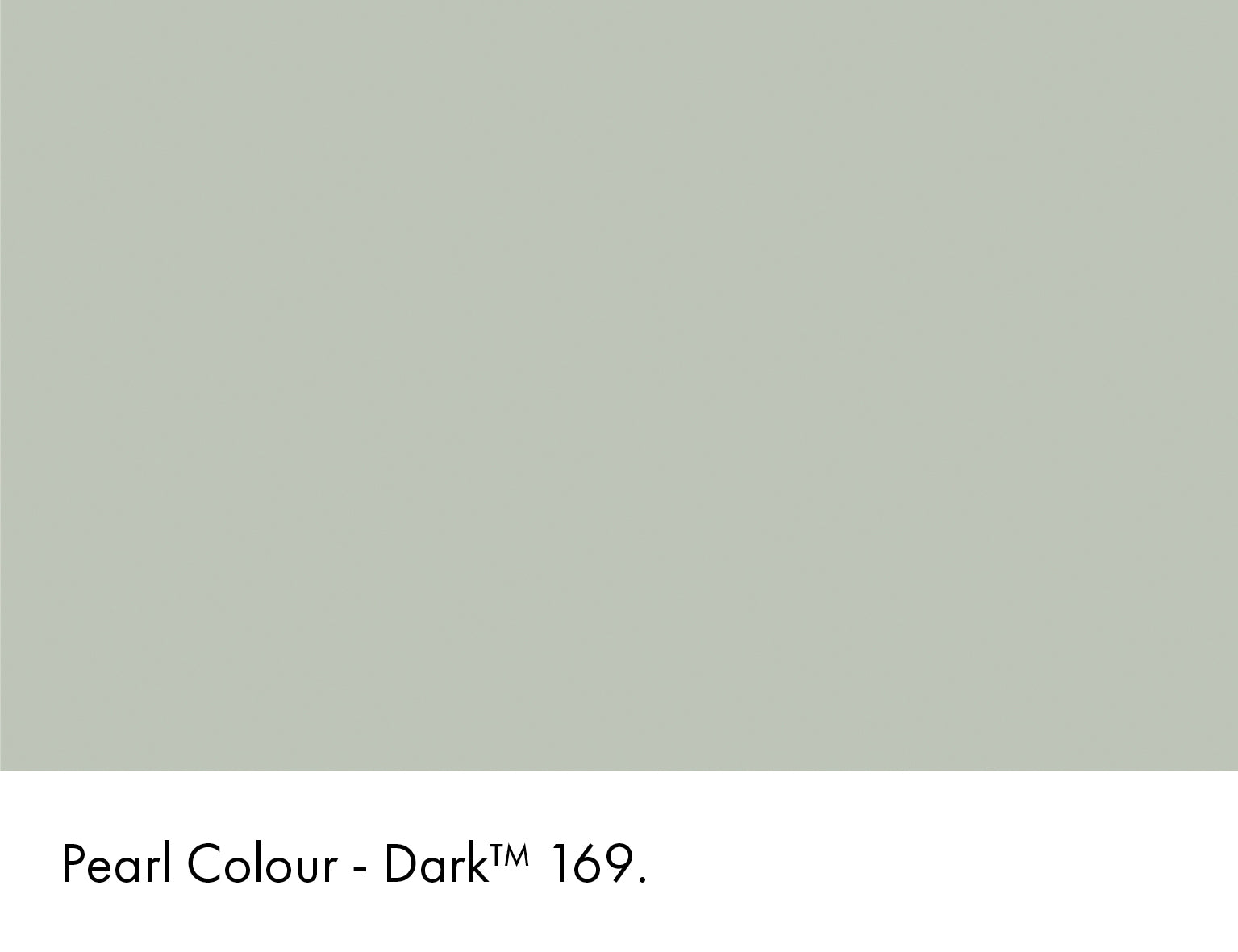 Little Greene Absolute Matt Sample Pearl Colour Dark 169 60ml