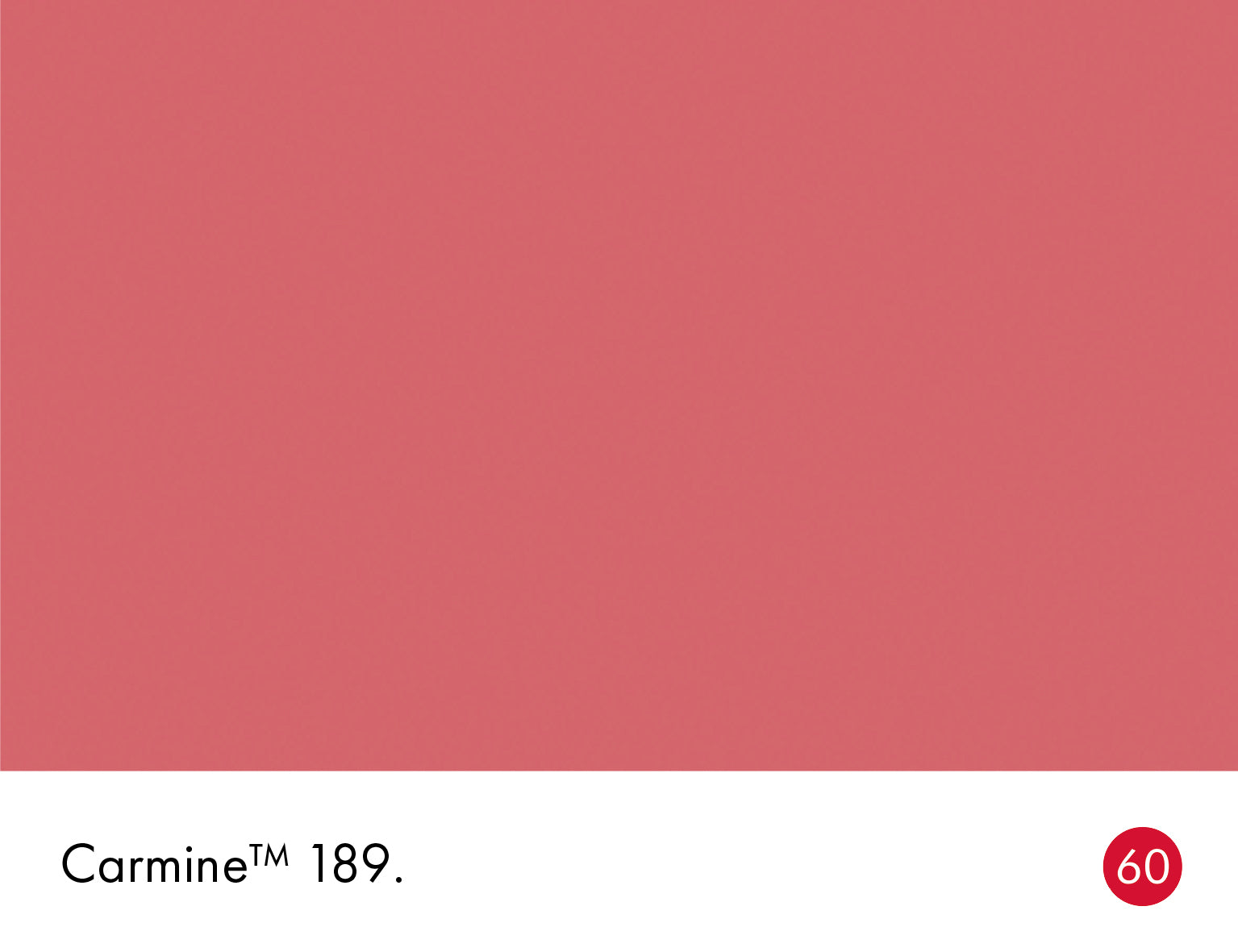 Little Greene Absolute Matt Sample Carmine 189 60ml