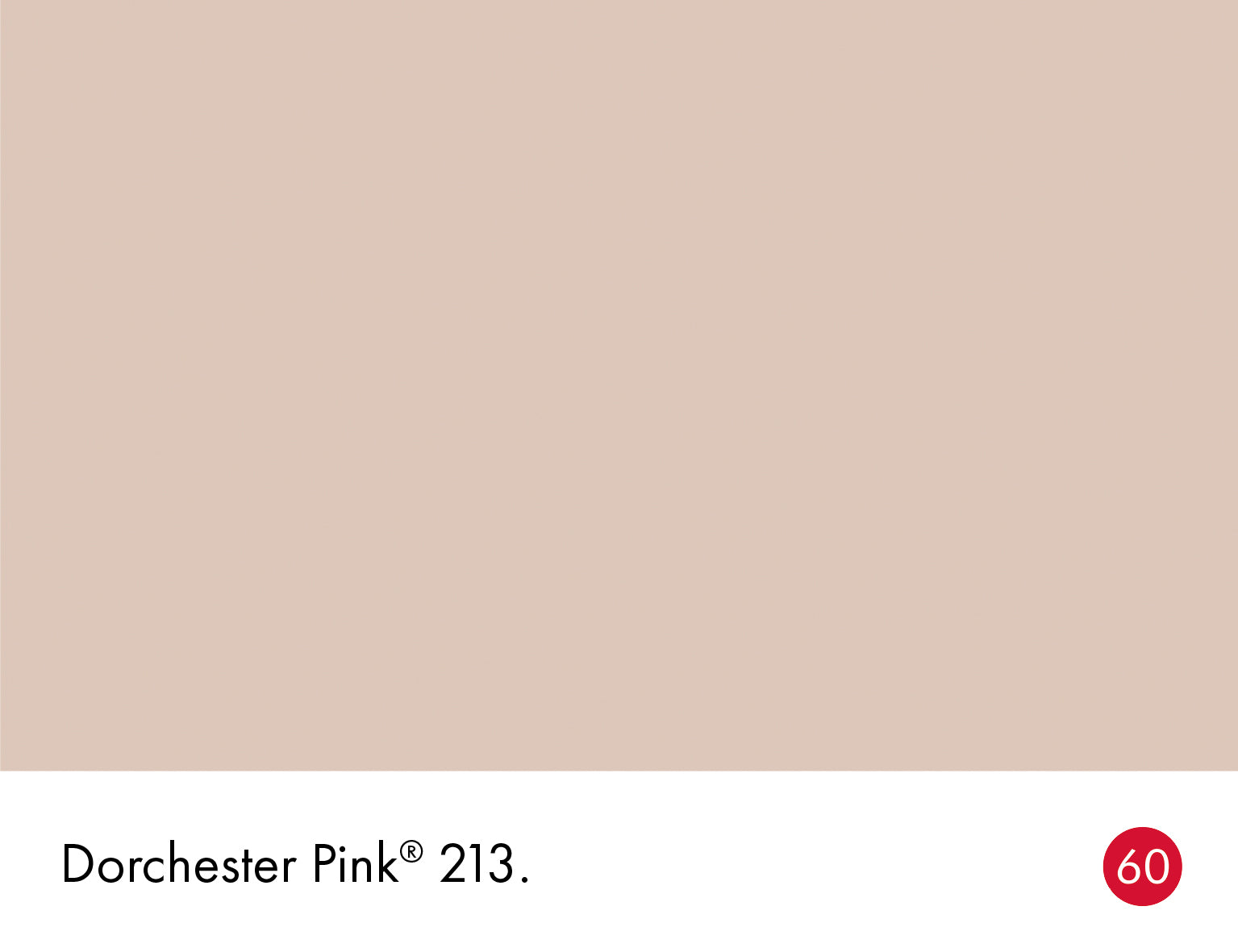 Little Greene Absolute Matt Sample Dorchester Pink 213 60ml