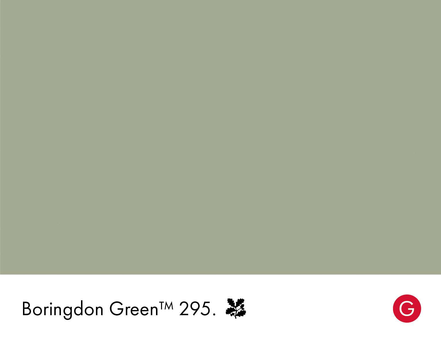 Little Greene Absolute Matt Sample Boringdon Green 295 60ml