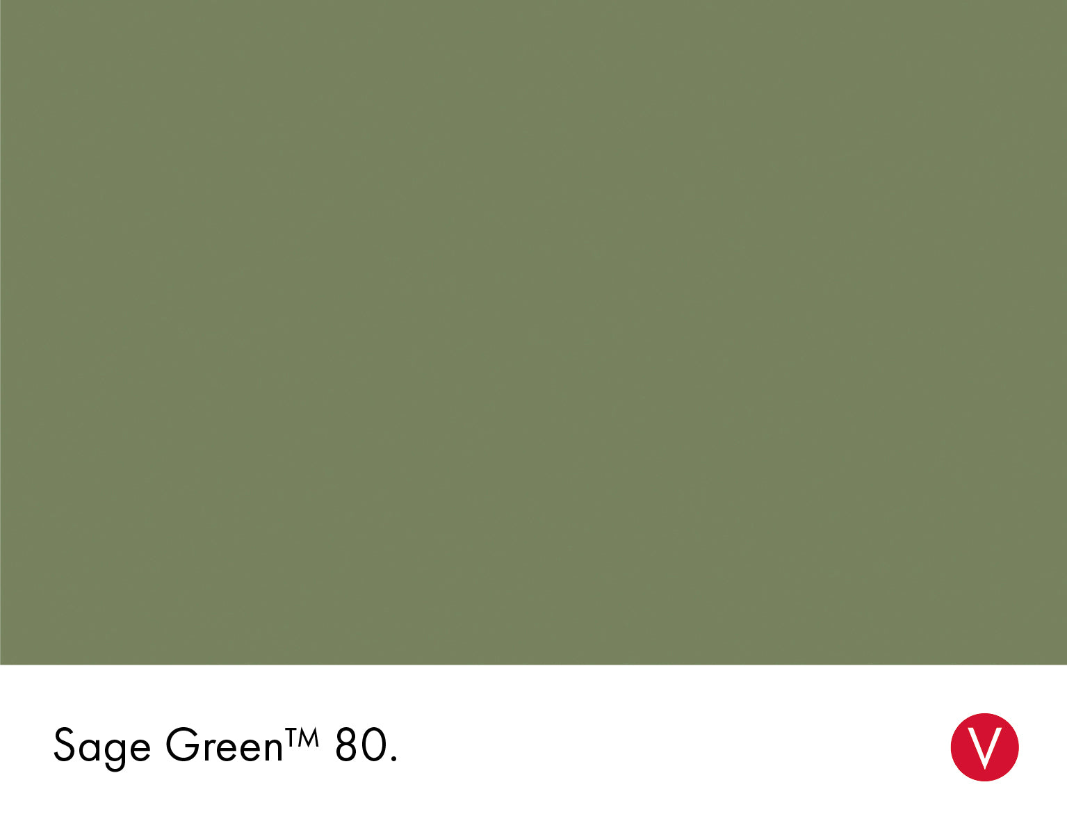 Little Greene Absolute Matt Sample Sage Green 80 60ml