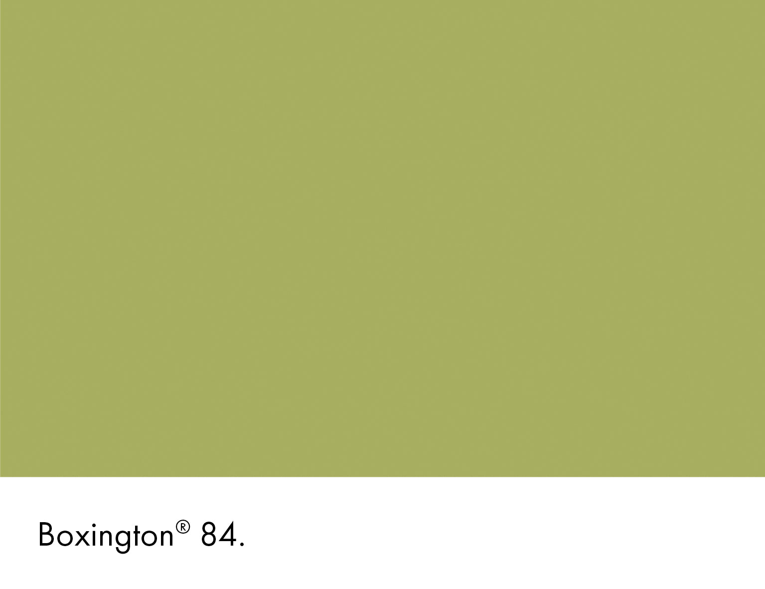 Little Greene Absolute Matt Sample Boxington 84 60ml