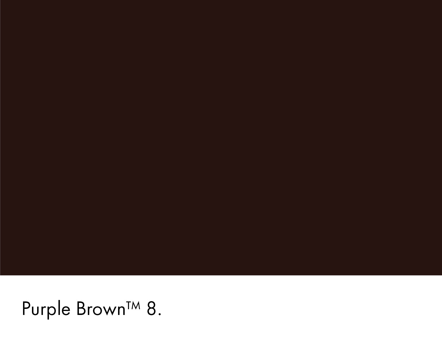 Little Greene Absolute Matt Sample Purple Brown 8 60ml