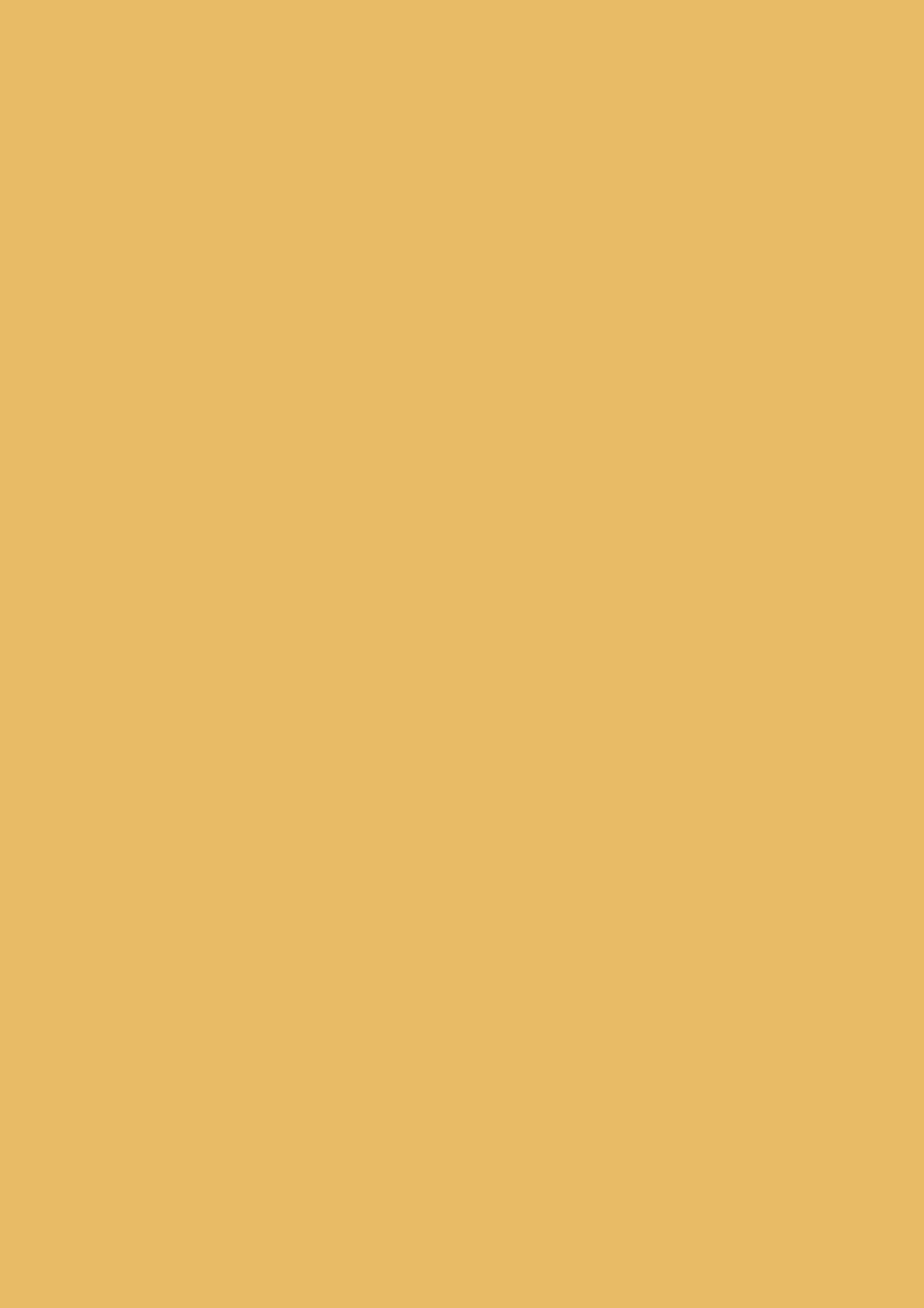 Farrow & Ball Babouche 223