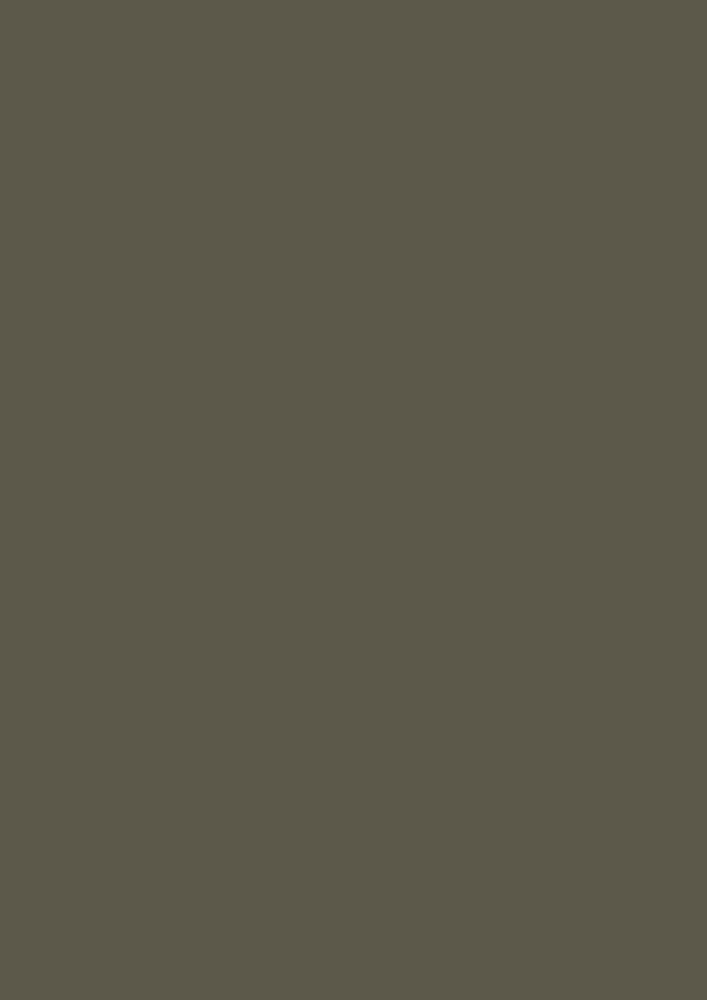 Farrow & Ball Reduced Green 313