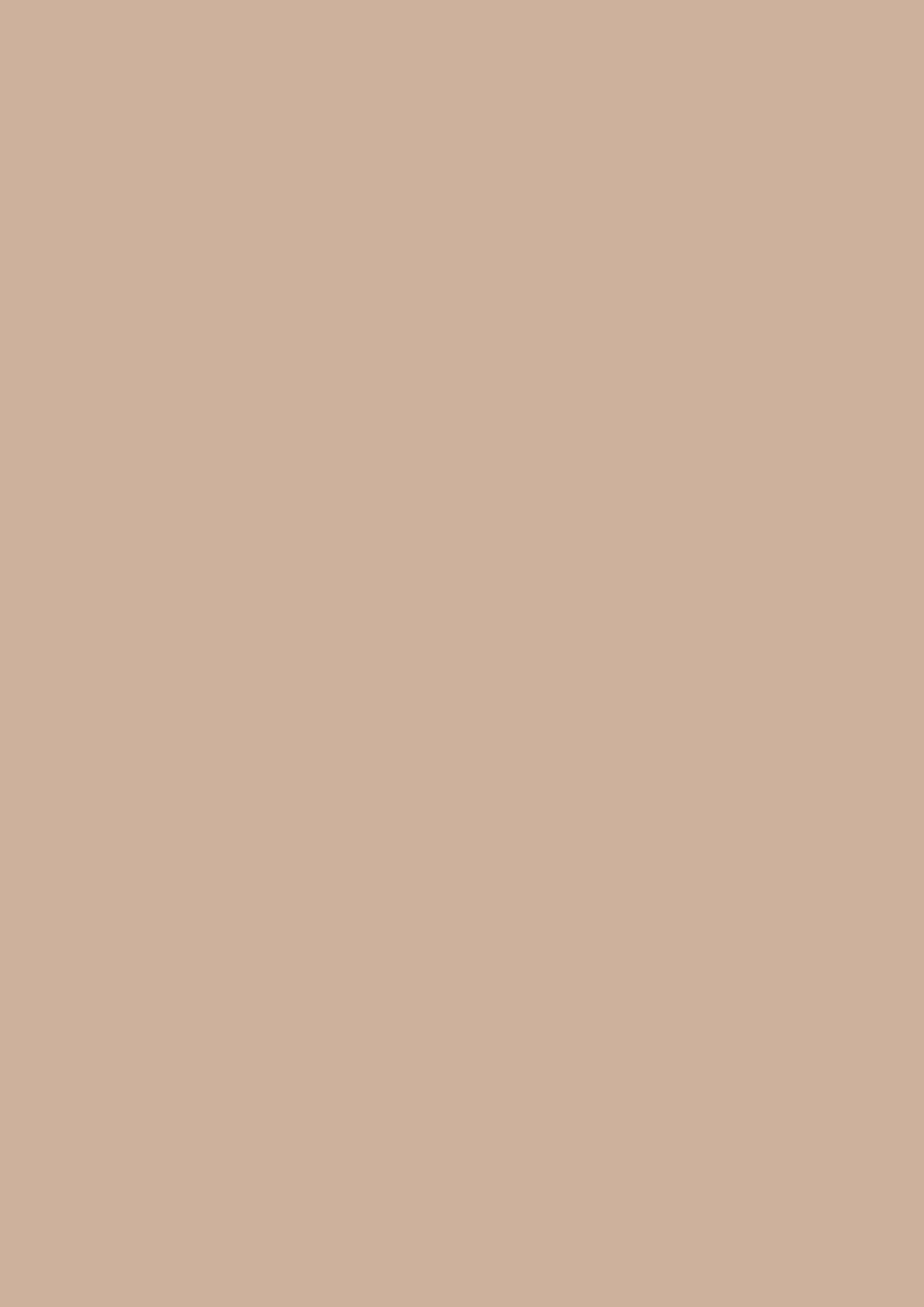 Farrow & Ball Templeton Pink 303