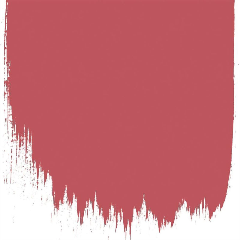 Damask Rose No.123