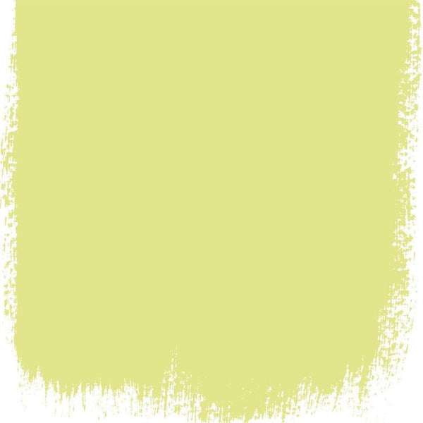 Alchemilla No.112